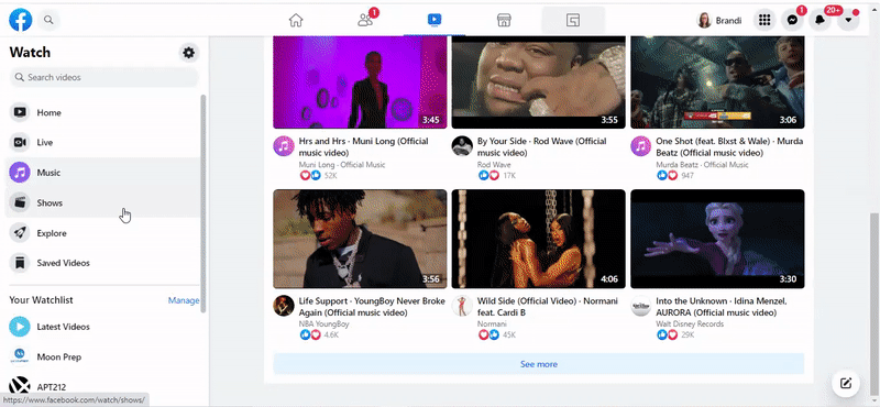 what is facebook watch shows