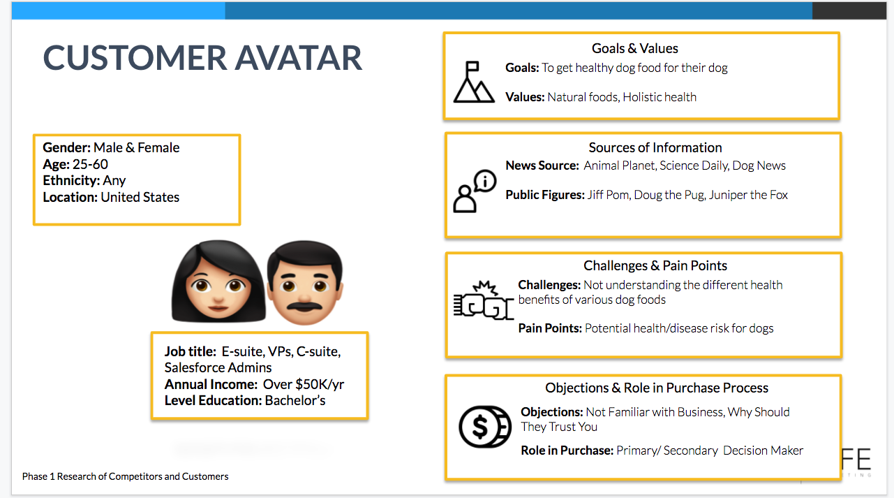 Customer Avatar for Social Media Platforms