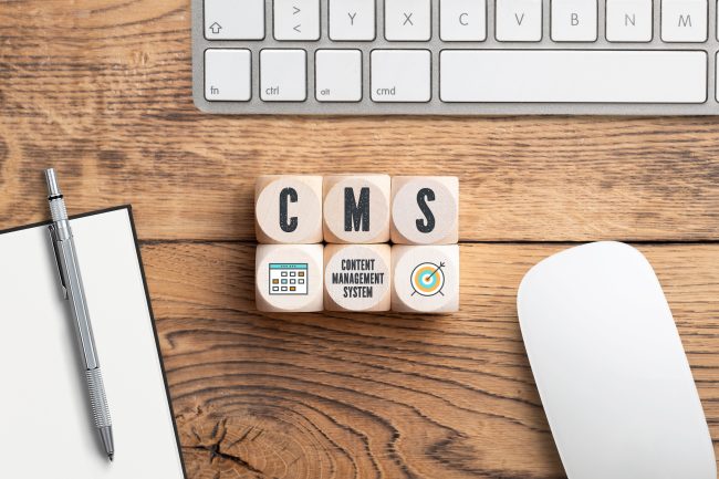 Custom CMS Solutions